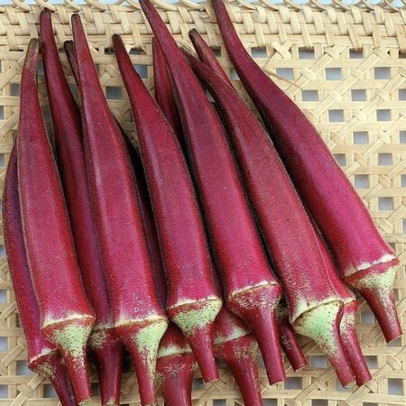 Candle Fire, Okra Seed - Packet image number null